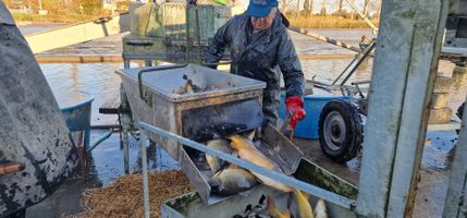 Ležánecký 25 (2).jpg